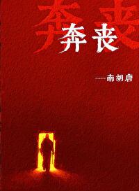 奔丧女人的堕落电影在线观看