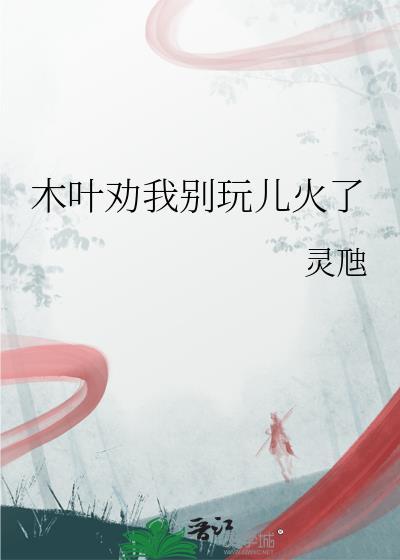 木叶劝我别玩火TXT奇书网