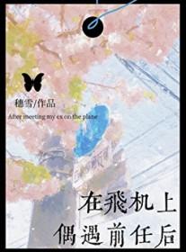在飞机上偶遇前任后by穗雪百度