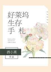 好莱坞模式第2版