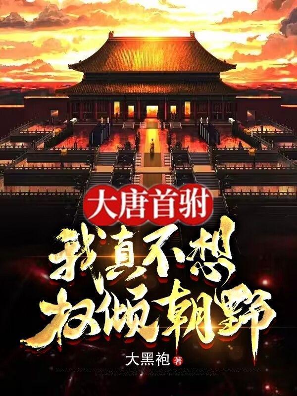 大唐首驸我真不想权倾朝野(大黑袍)_秦勇
